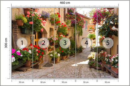 Fototapeta Uliczka Kwiaty Kolorowa 460 × 300 cm – podgląd kadru