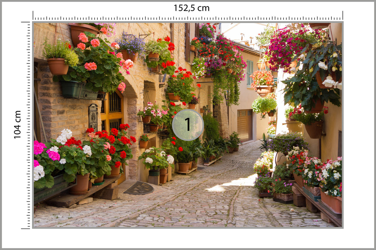 Fototapeta Uliczka Kwiaty Kolorowa 152,5 × 104 cm – podgląd kadru