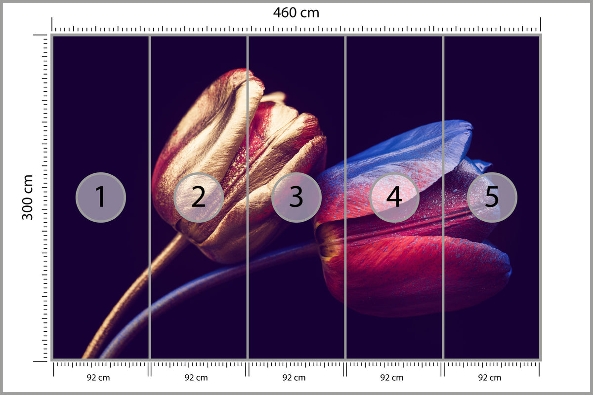 Fototapeta Tulipany Ze Złotymi Elementami 460 × 300 cm – podgląd kadru