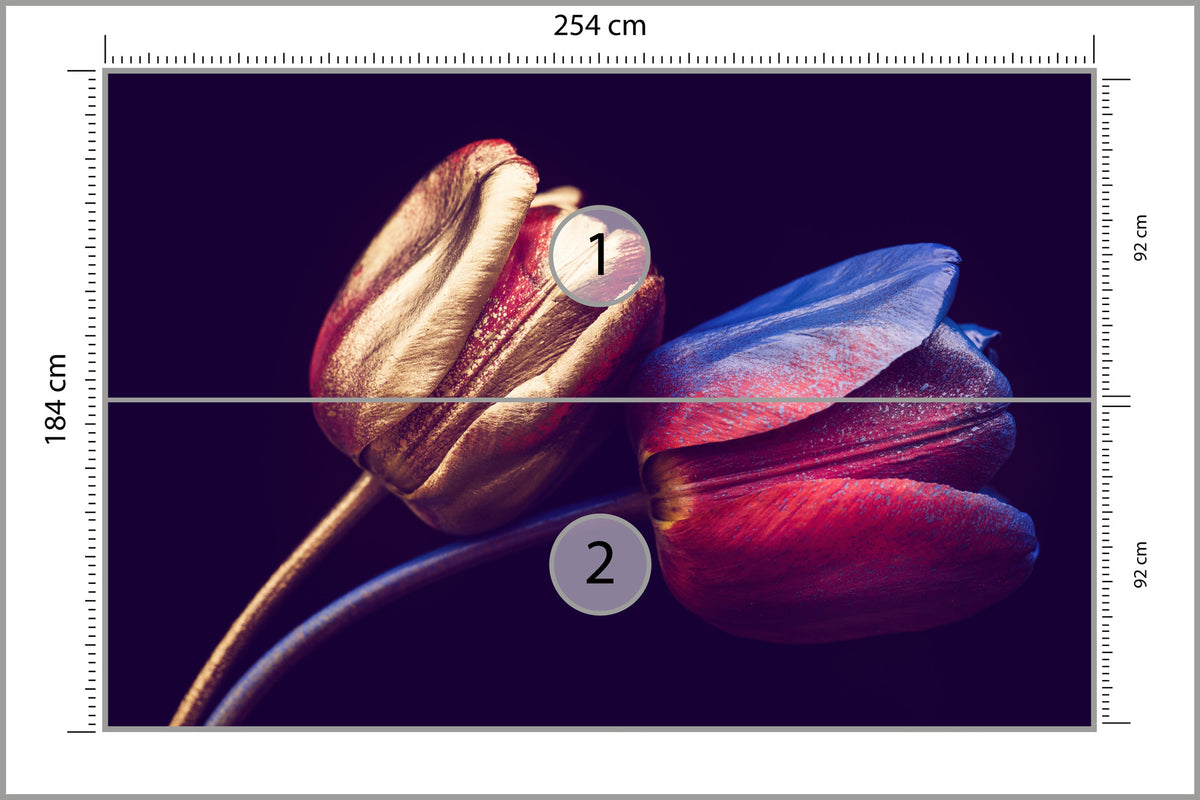 Fototapeta Tulipany Ze Złotymi Elementami 254 × 184 cm – podgląd kadru