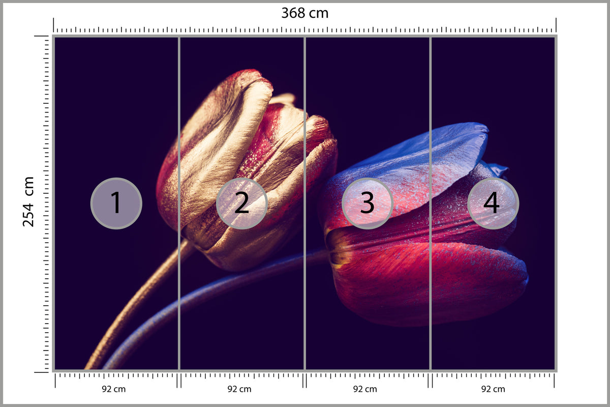 Fototapeta Tulipany Ze Złotymi Elementami 368 × 254 cm – podgląd kadru