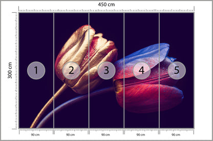 Fototapeta Tulipany Ze Złotymi Elementami 450 × 300 cm – podgląd kadru