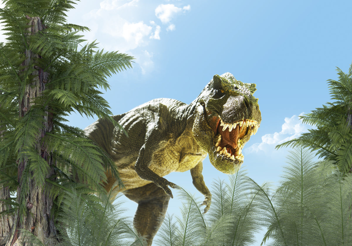 Fototapeta Wielki Dinozaur T-Rex I Palmy – wzór