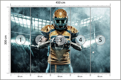 Fototapeta Amerykański Sportowiec 450 × 300 cm – podgląd kadru