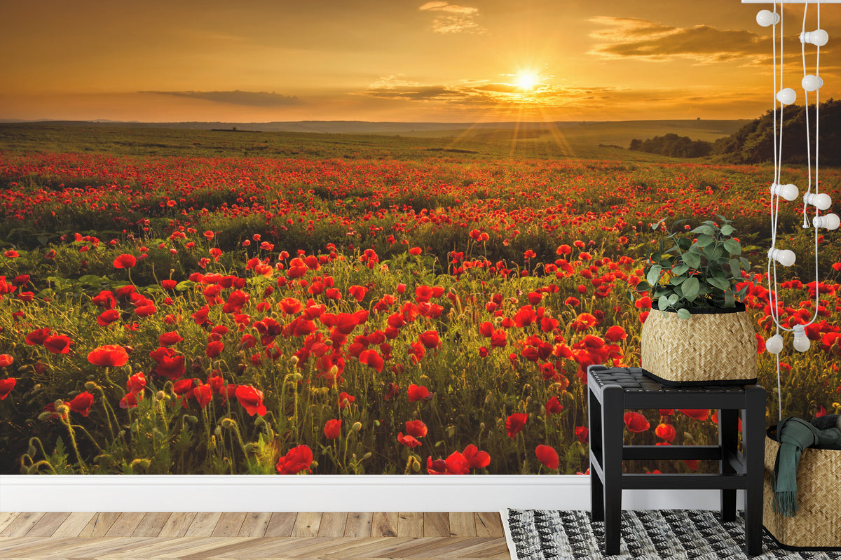Fototapeta Kwiaty – aranżacja wnętrza