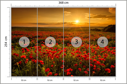 Fototapeta Kwiaty 368 × 254 cm – podgląd kadru