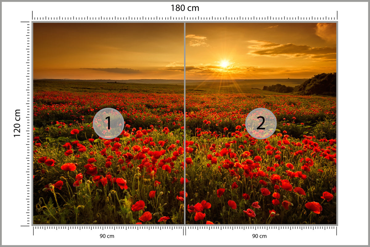 Fototapeta Kwiaty 180 × 120 cm – podgląd kadru