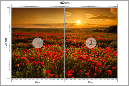 Fototapeta Kwiaty 180 × 120 cm – podgląd kadru