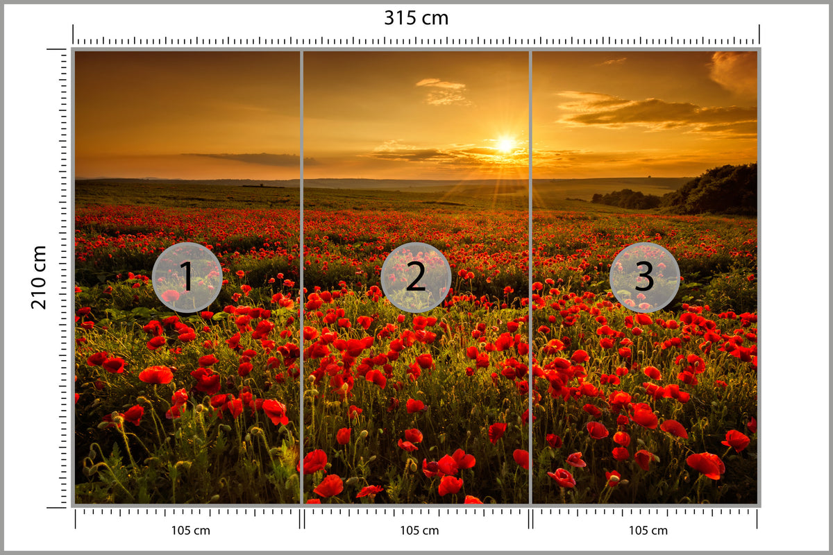 Fototapeta Kwiaty 315 × 210 cm – podgląd kadru