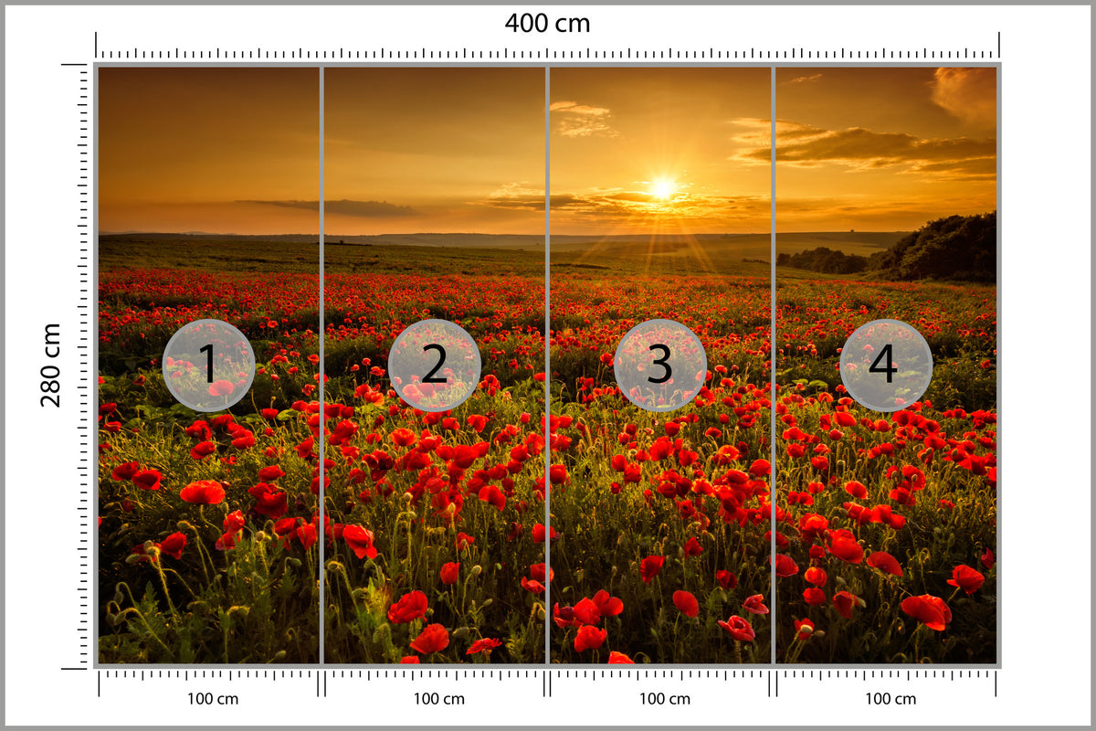 Fototapeta Kwiaty 400 × 280 cm – podgląd kadru