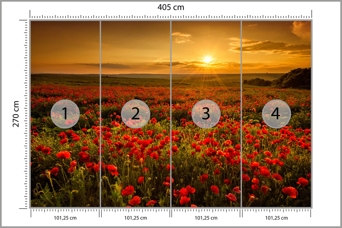 Fototapeta Kwiaty 405 × 270 cm – podgląd kadru