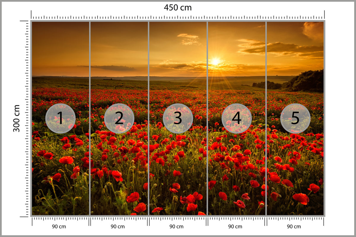 Fototapeta Kwiaty 450 × 300 cm – podgląd kadru