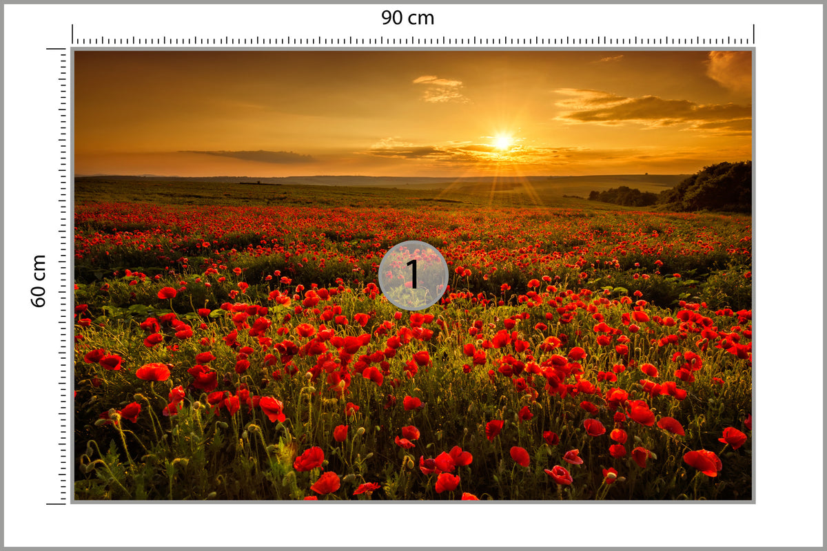 Fototapeta Kwiaty 90 × 60 cm – podgląd kadru
