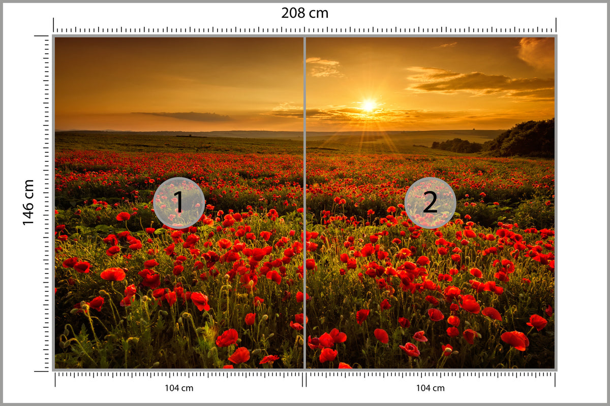 Fototapeta Kwiaty 208 × 146 cm – podgląd kadru