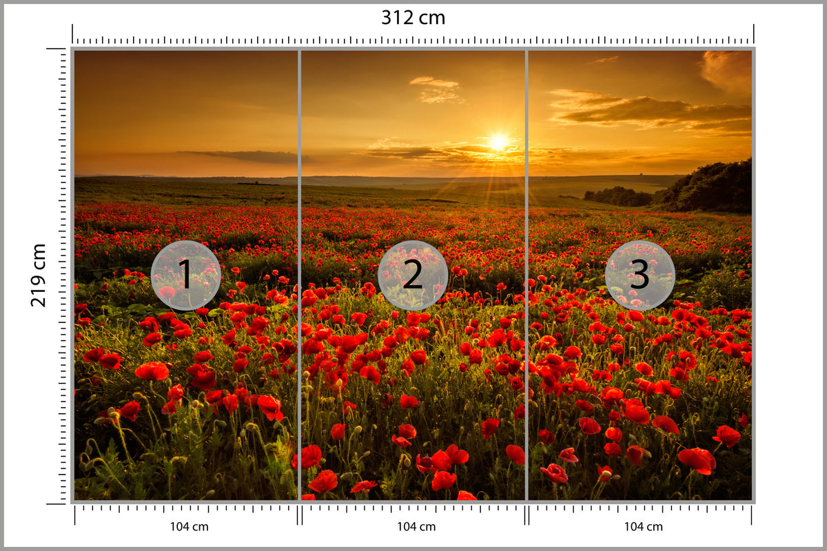 Fototapeta Kwiaty 312 × 219 cm – podgląd kadru