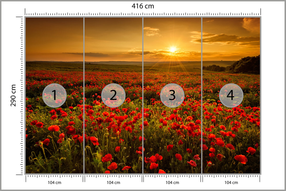Fototapeta Kwiaty 416 × 290 cm – podgląd kadru