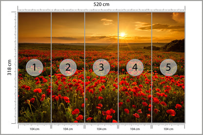 Fototapeta Kwiaty 520 × 318 cm – podgląd kadru