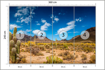 Fototapeta Pustynia Z Kaktusami 360 × 240 cm – podgląd kadru