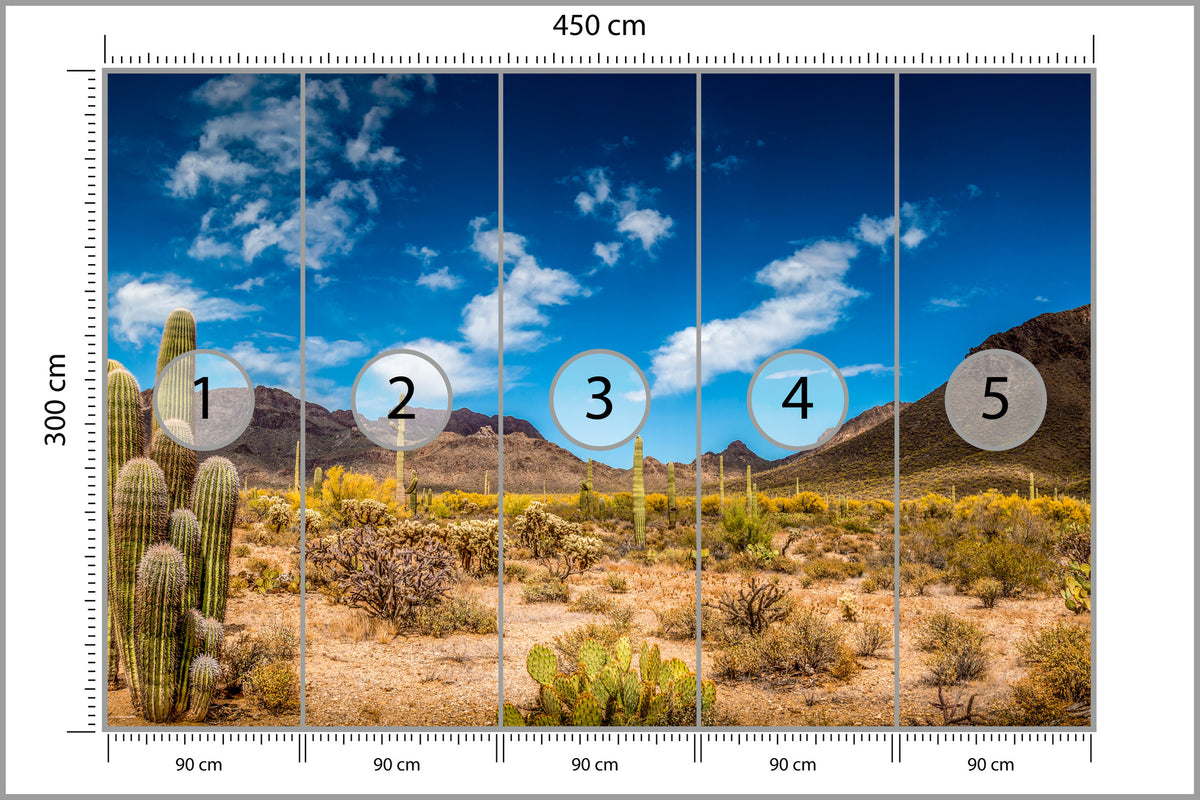 Fototapeta Pustynia Z Kaktusami 450 × 300 cm – podgląd kadru