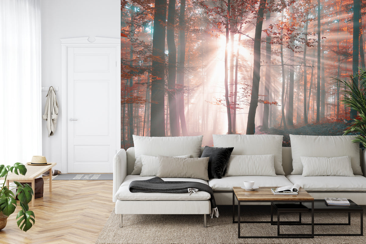 Fototapeta Las Barwy Jesieni – aranżacja wnętrza
