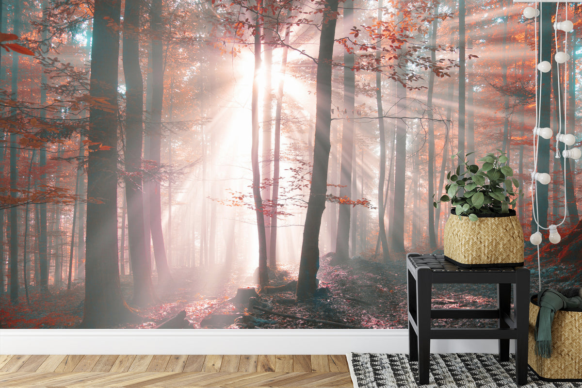 Fototapeta Las Barwy Jesieni – aranżacja wnętrza