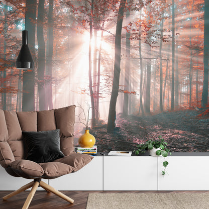 Fototapeta Las Barwy Jesieni – aranżacja wnętrza