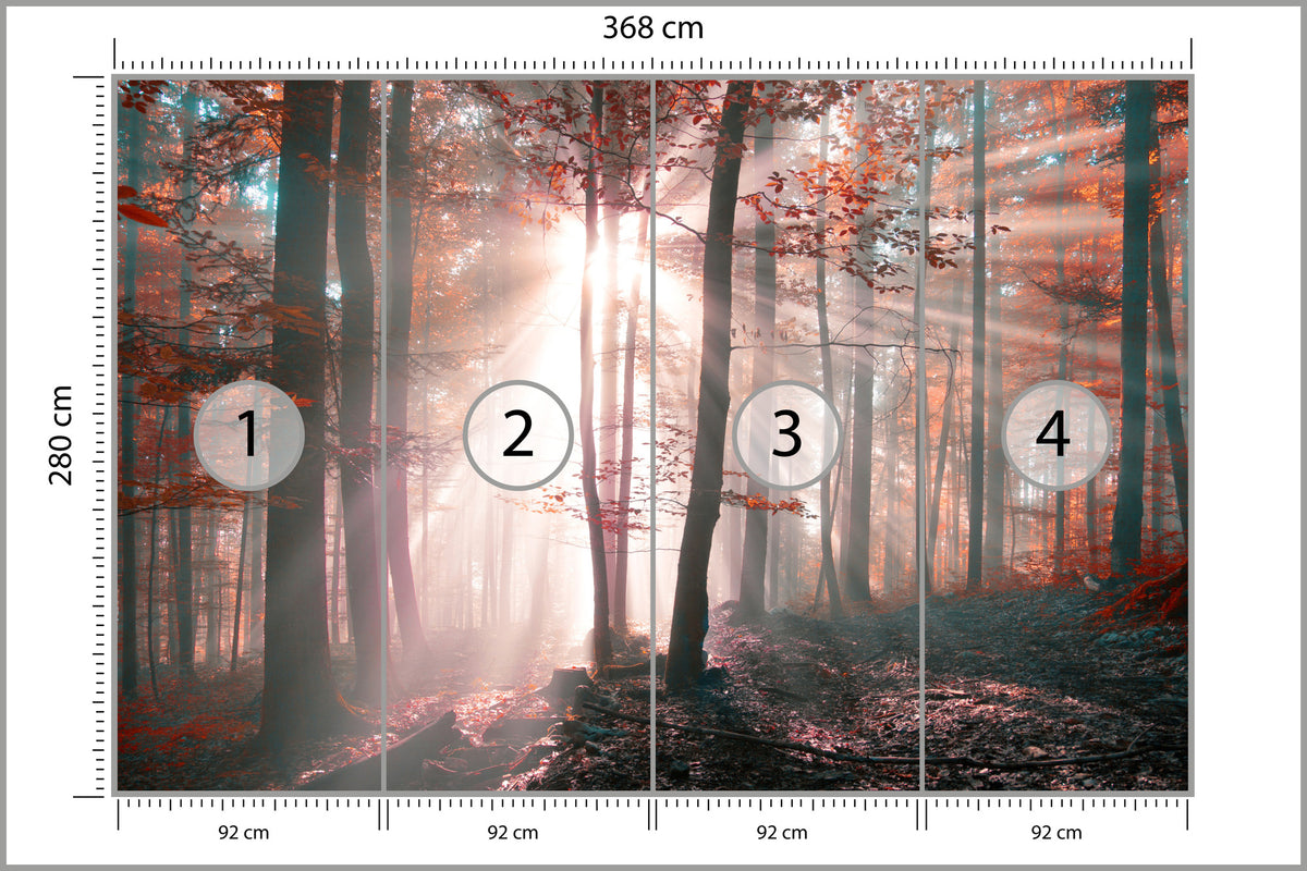 Fototapeta Las Barwy Jesieni 368 × 280 cm – podgląd kadru