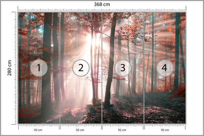 Fototapeta Las Barwy Jesieni 368 × 280 cm – podgląd kadru