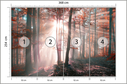 Fototapeta Las Barwy Jesieni 368 × 254 cm – podgląd kadru