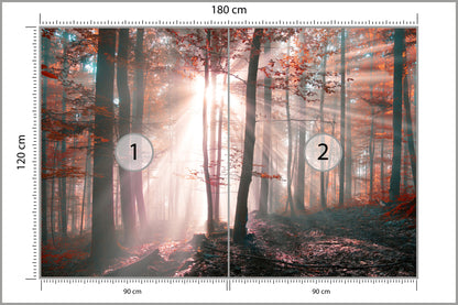 Fototapeta Las Barwy Jesieni 180 × 120 cm – podgląd kadru