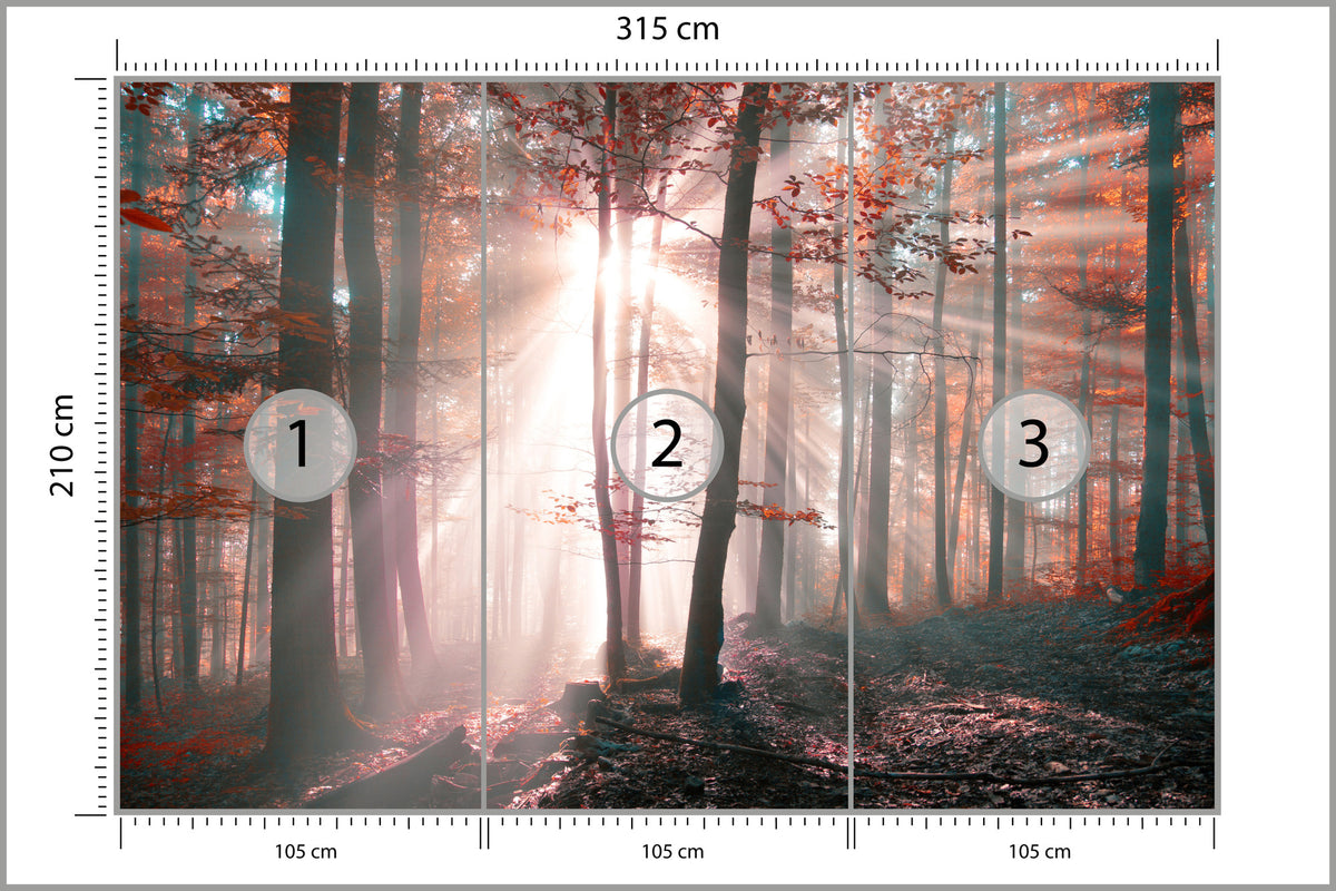 Fototapeta Las Barwy Jesieni 315 × 210 cm – podgląd kadru
