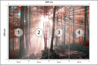 Fototapeta Las Barwy Jesieni 360 × 240 cm – podgląd kadru