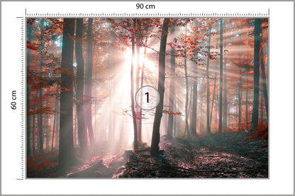 Fototapeta Las Barwy Jesieni 90 × 60 cm – podgląd kadru