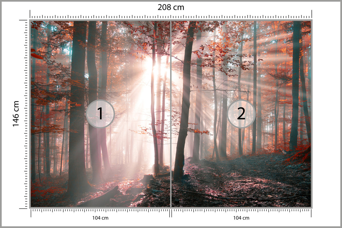 Fototapeta Las Barwy Jesieni 208 × 146 cm – podgląd kadru