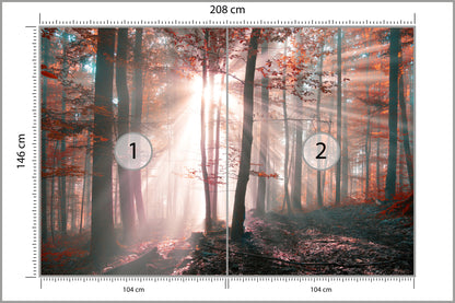 Fototapeta Las Barwy Jesieni 208 × 146 cm – podgląd kadru