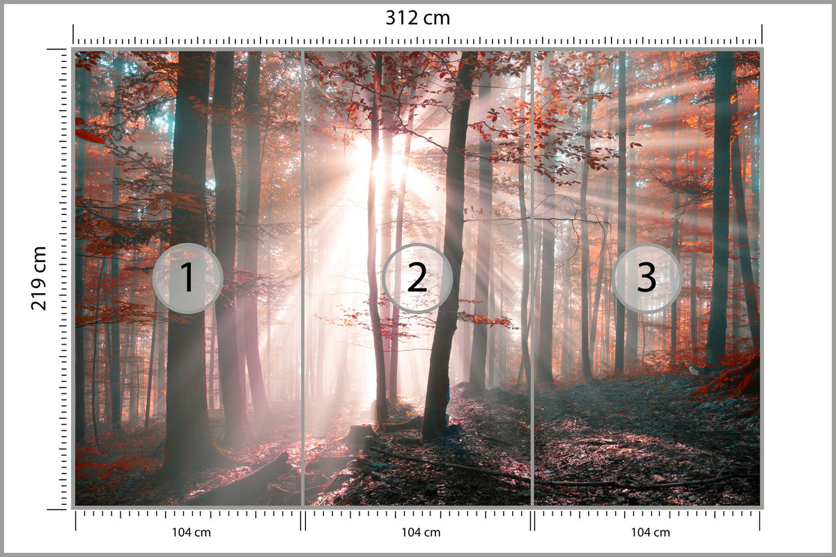 Fototapeta Las Barwy Jesieni 312 × 219 cm – podgląd kadru