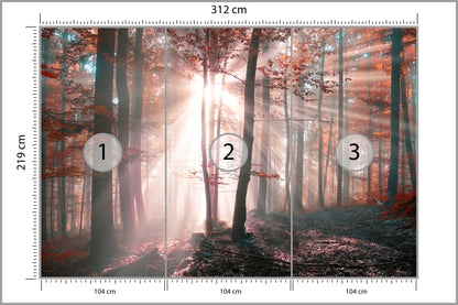 Fototapeta Las Barwy Jesieni 312 × 219 cm – podgląd kadru