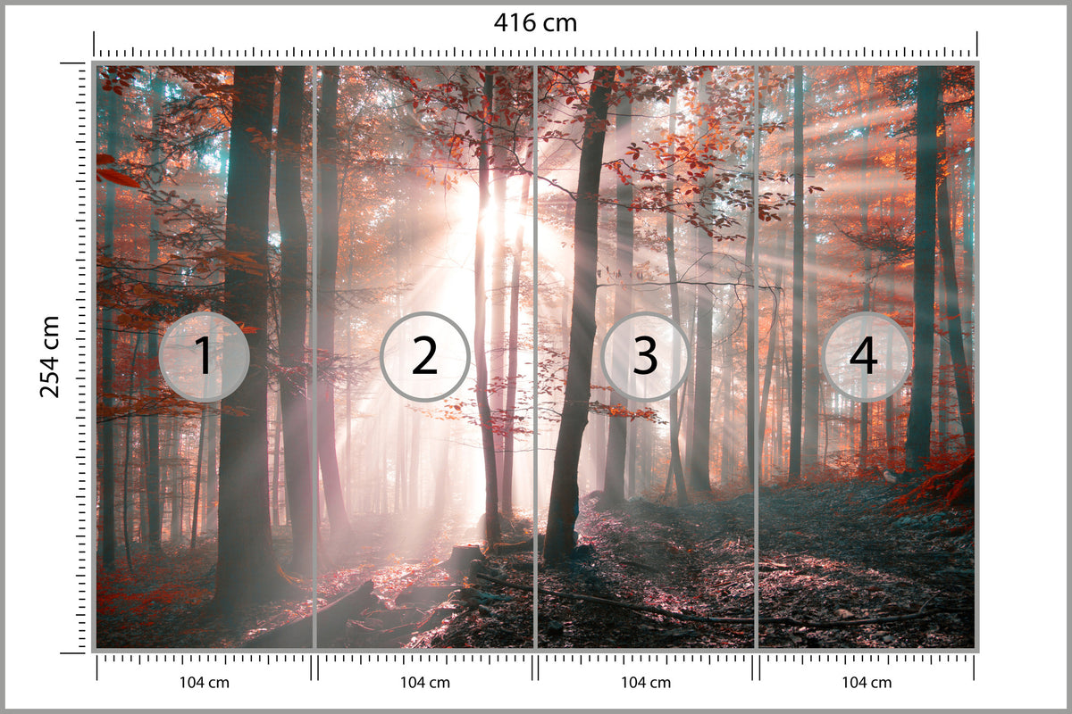 Fototapeta Las Barwy Jesieni 416 × 254 cm – podgląd kadru