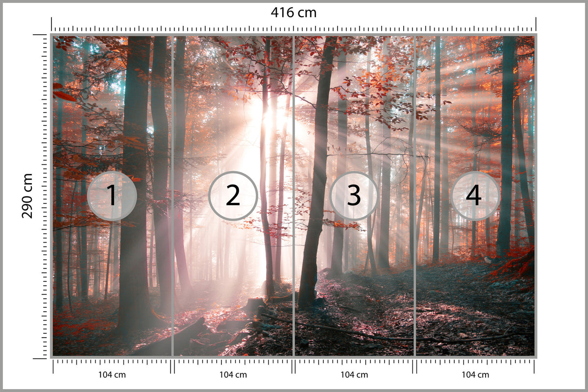 Fototapeta Las Barwy Jesieni 416 × 290 cm – podgląd kadru