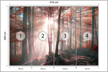 Fototapeta Las Barwy Jesieni 416 × 290 cm – podgląd kadru