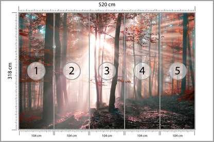 Fototapeta Las Barwy Jesieni 520 × 318 cm – podgląd kadru