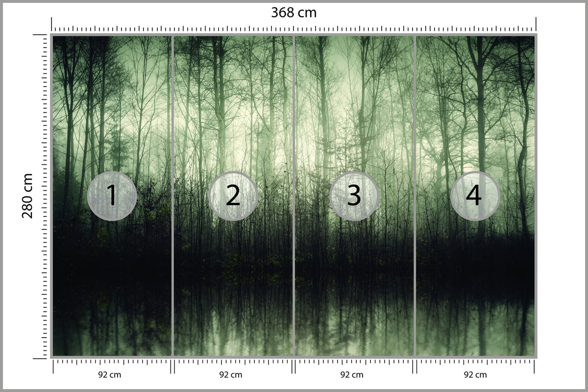 Fototapeta Las Drzewa Woda 368 × 280 cm – podgląd kadru