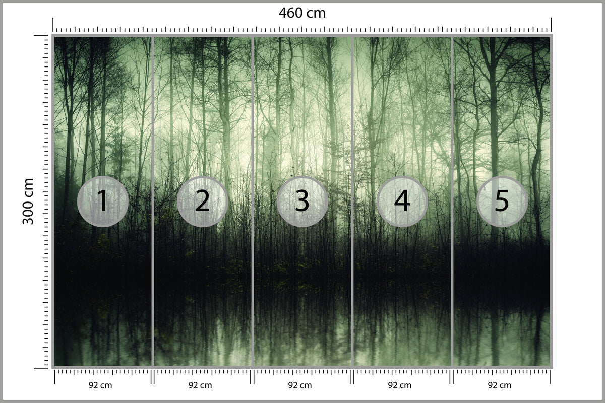 Fototapeta Las Drzewa Woda 460 × 300 cm – podgląd kadru