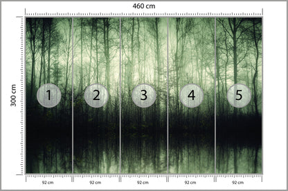 Fototapeta Las Drzewa Woda 460 × 300 cm – podgląd kadru
