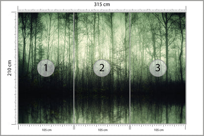 Fototapeta Las Drzewa Woda 315 × 210 cm – podgląd kadru