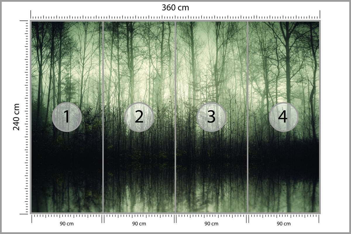 Fototapeta Las Drzewa Woda 360 × 240 cm – podgląd kadru