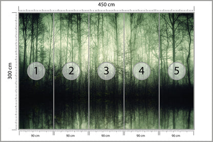 Fototapeta Las Drzewa Woda 450 × 300 cm – podgląd kadru