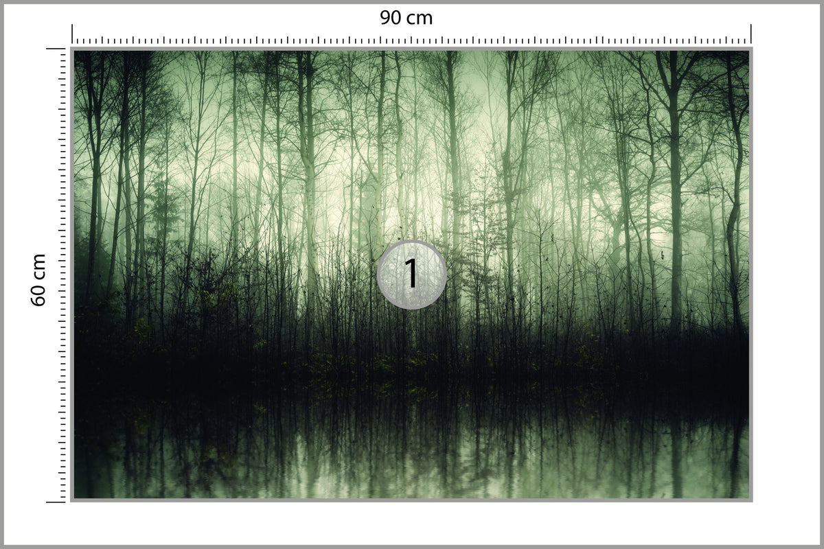 Fototapeta Las Drzewa Woda 90 × 60 cm – podgląd kadru