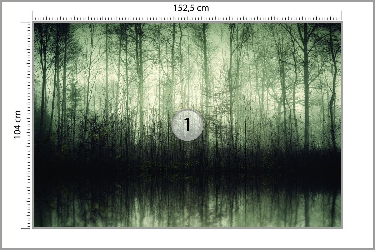 Fototapeta Las Drzewa Woda 152,5 × 104 cm – podgląd kadru