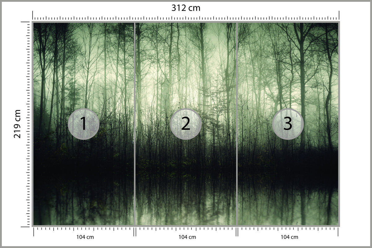 Fototapeta Las Drzewa Woda 312 × 219 cm – podgląd kadru